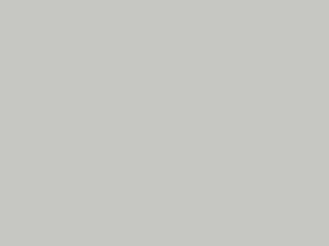 Компакт-плита Fundermax 0074 FH GC Pastel Grey (Grey core) 4100х1300х12 мм 138019 фото