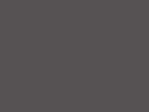 Компакт-плита Fundermax 0077 AP Charcoal (Black core) 4100х1300х12 мм 138067 фото